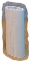 Rumpfsegment 7