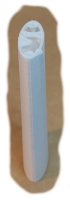 Rumpfsegment 8