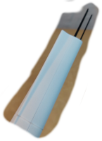 Rumpfsegment 9